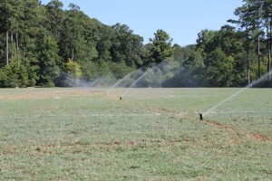 irrigation_hoover (24).JPG